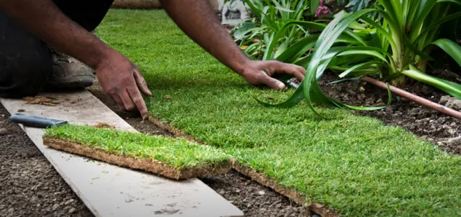 Using Fertiliser