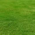 Lawn turf no banner
