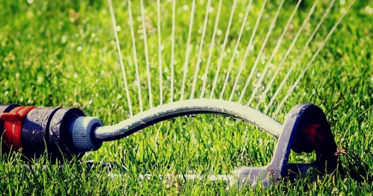 Hosepipe Ban Buy Turf