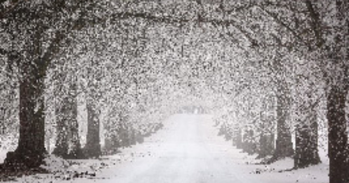 Will It Snow This Year? When Will It Snow In The… Online Rock Salt