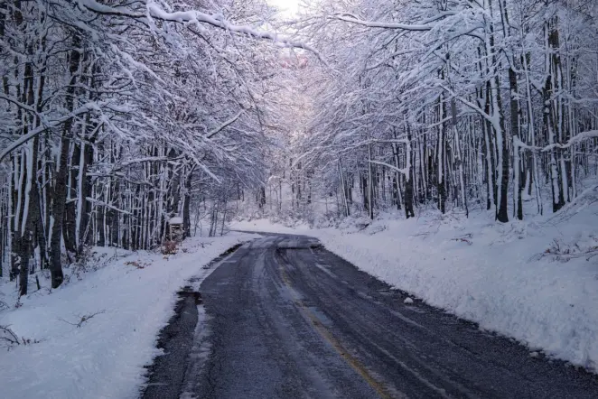 Shaded road covered in ice