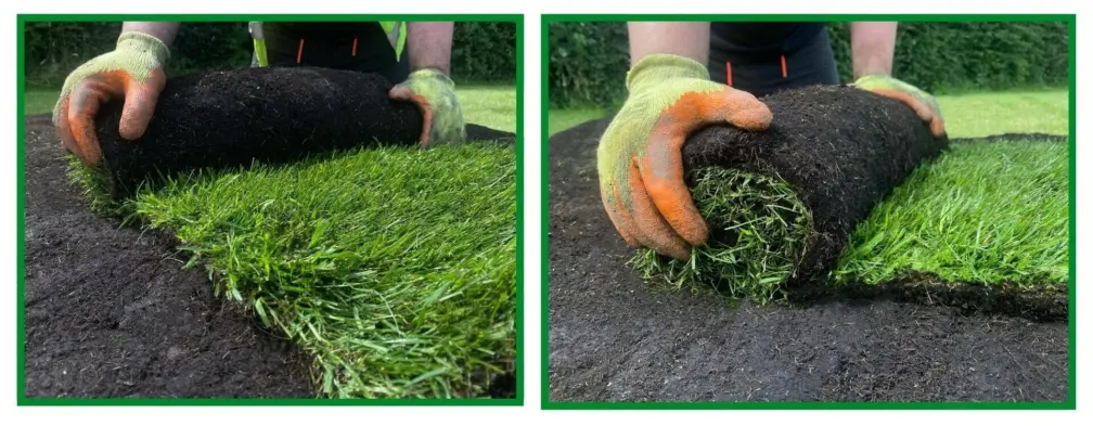 Turf rolls
