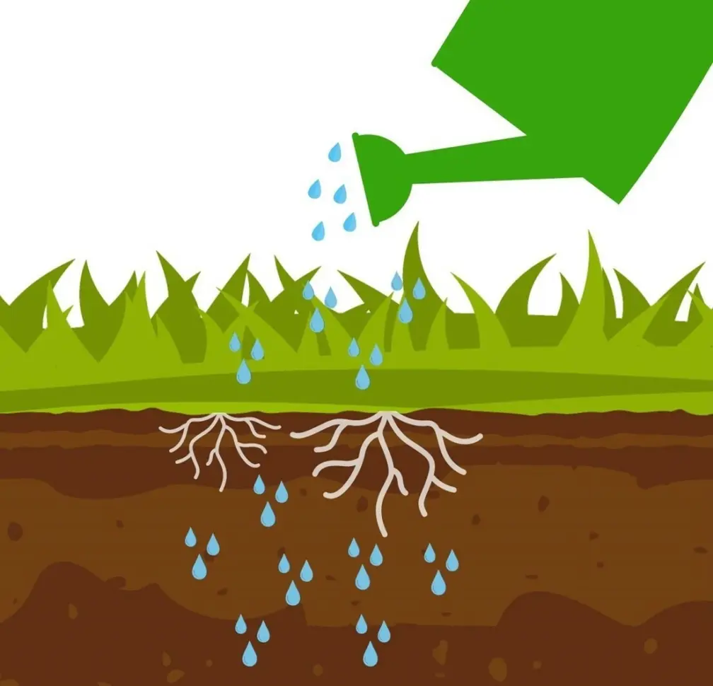 Watering the lawn