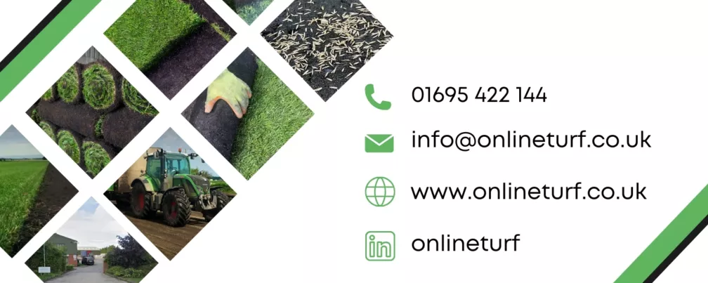 Turf contact us banner