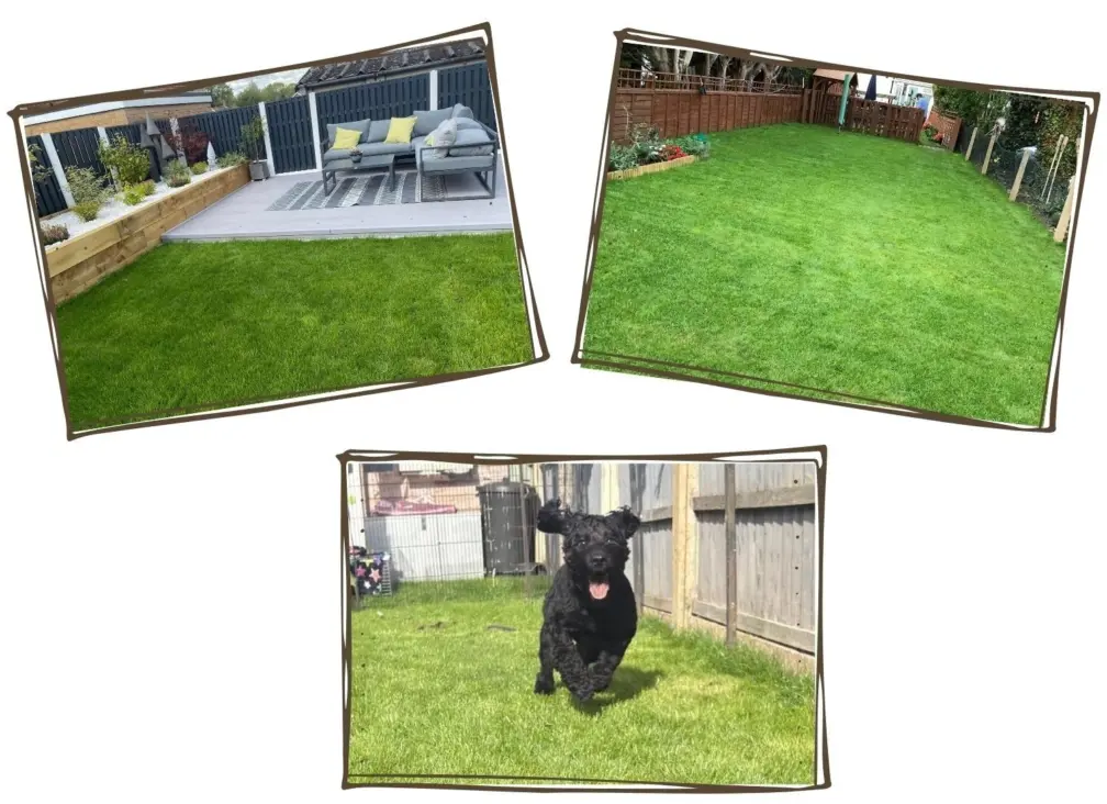 Different turf types