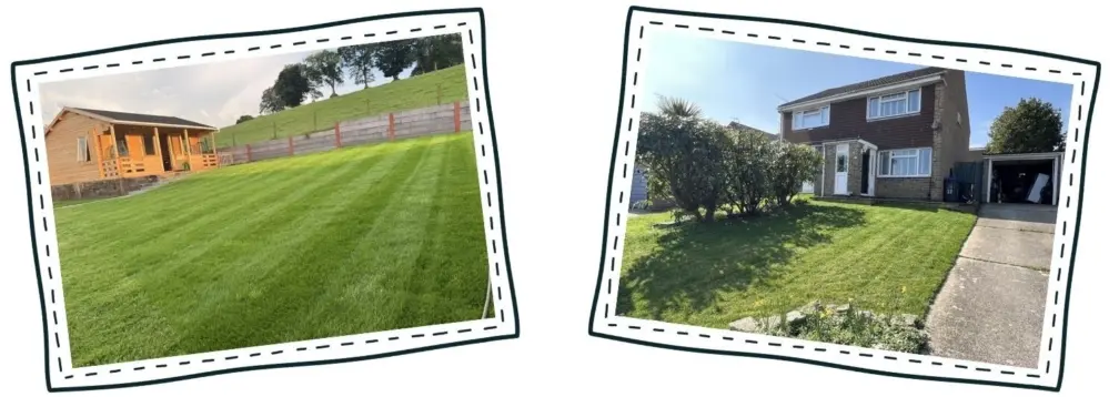 Rye gold turf laid down