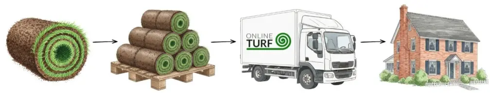 What happens after you order your turf