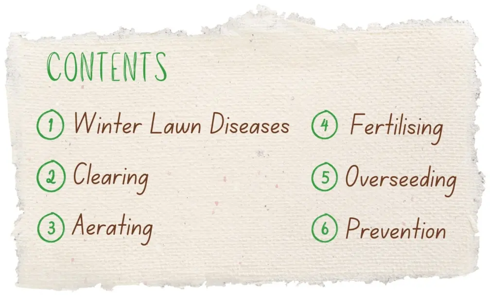 Repairing your lawn after winter contents