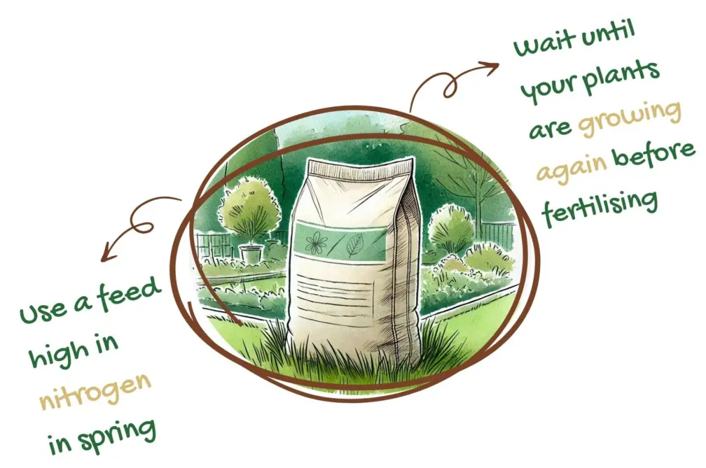 Fertilising lawn after winter