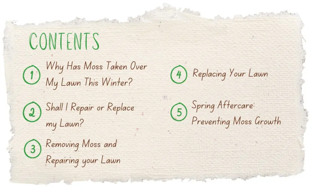 Moss removal after winter contents
