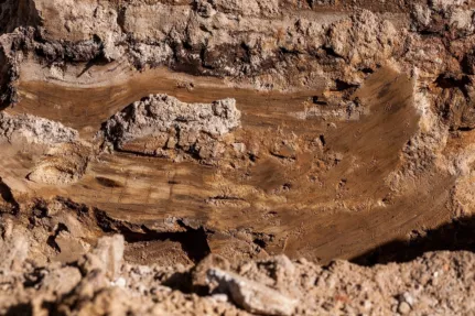 Clay soil signs