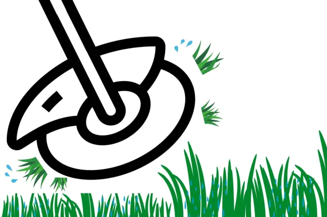 Strimming lawn