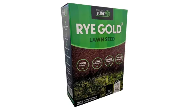 Rye gold lawn seed
