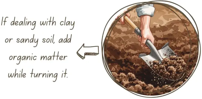 Soil type turf laying