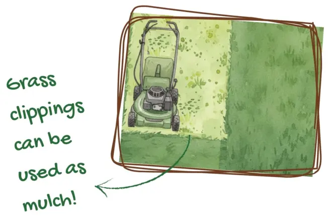 Clippings on lawn