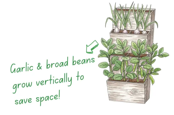 Vertical planters