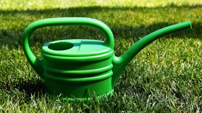 Eco friendly watering