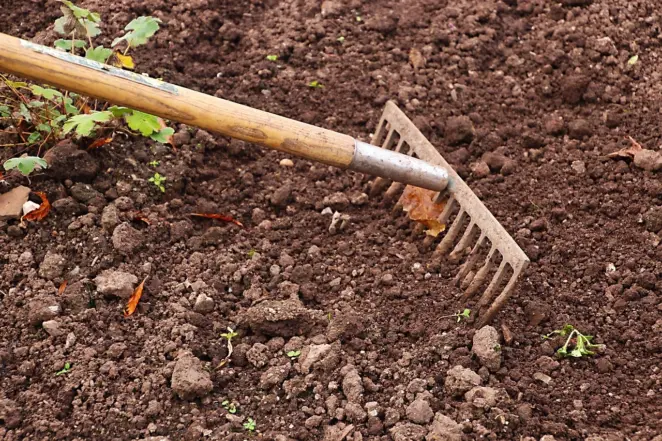 Raking soil
