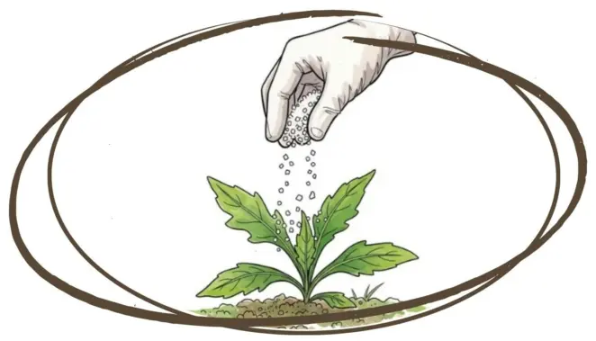 Using salt to kill weeds