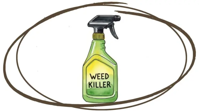 Weed killer spray