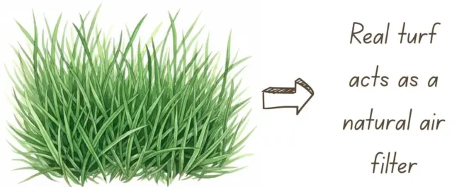 Benefits of natural turf
