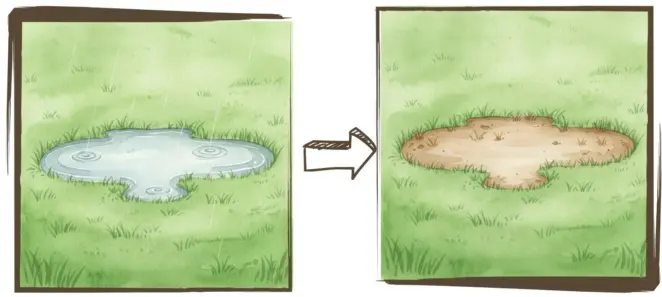 Waterlogged lawn developing bare patches