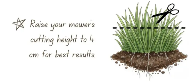 Ideal grass height