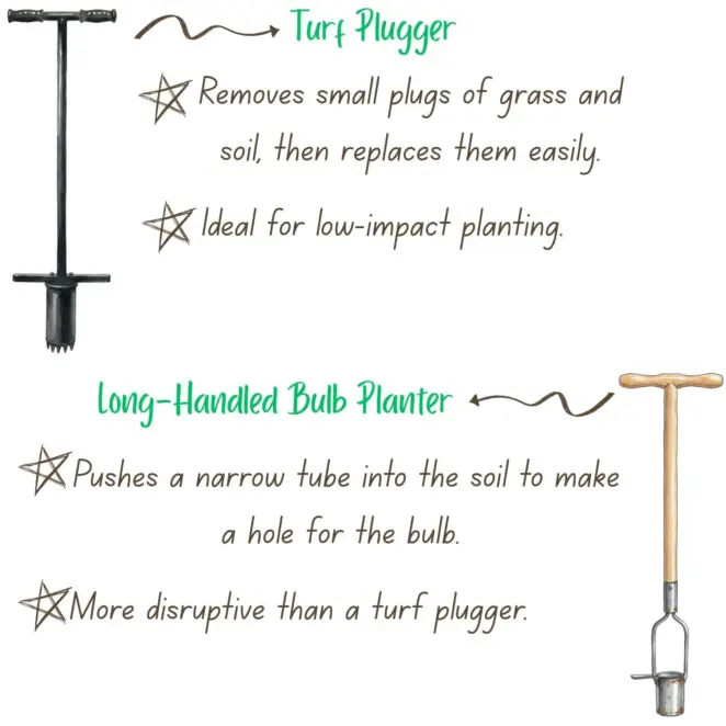 Turf plugger vs bulb planter