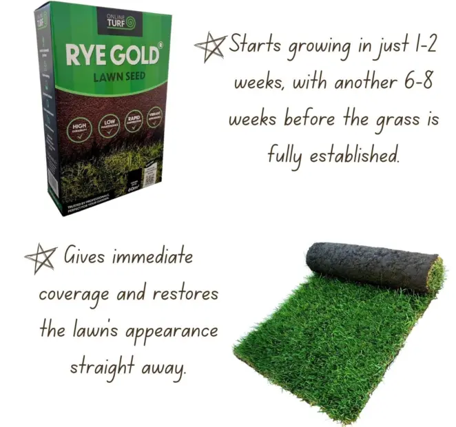 Rye gold turf and lawn seed benefits