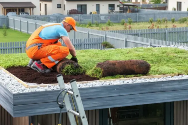 Laying green roof