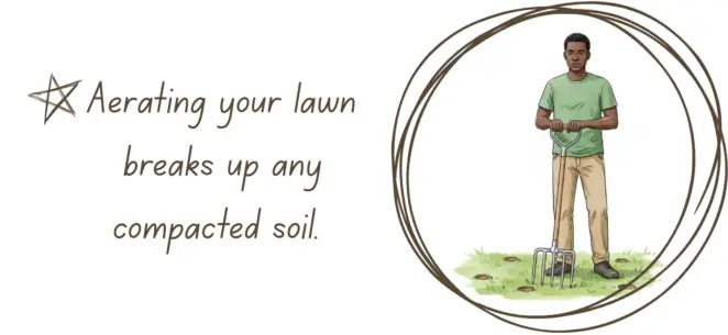 How to get a better lawn this year