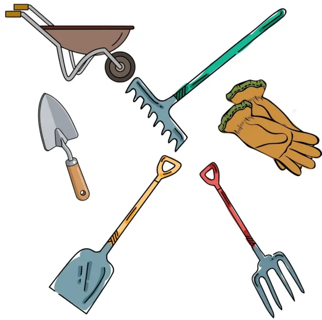 Tools for gardening for beginners