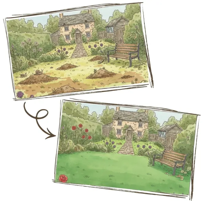 Before and after turf