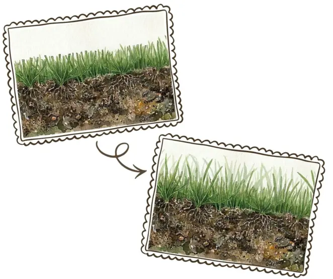 Spring lawn growth surge