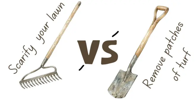 Sowing seeds into existing turf 2