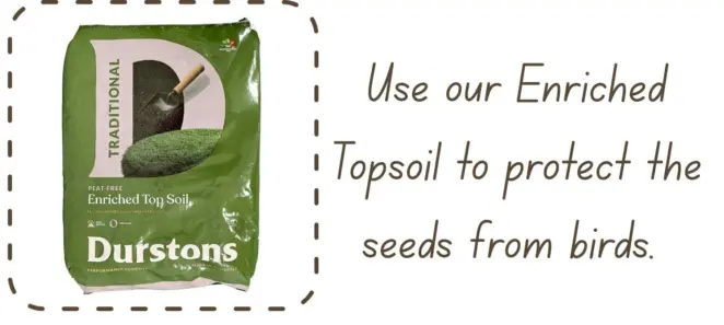 Using topsoil for wildflowers