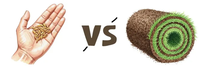 Sowing seeds vs laying turf