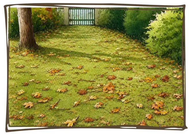 Leave on lawn