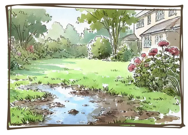Compacted lawn