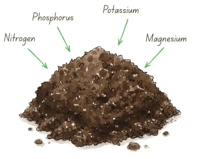 Why use topsoil for turf