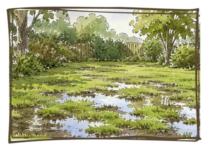 Waterlogged lawn winter