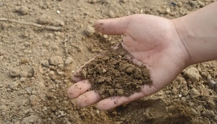 Does soil type affect turf laying
