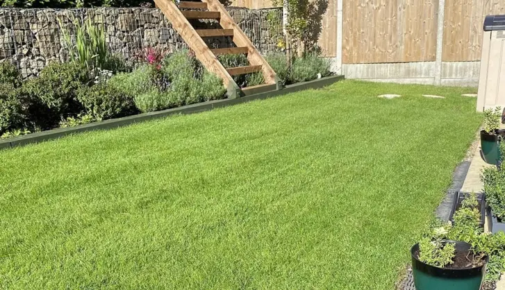 Turf for beginners guide