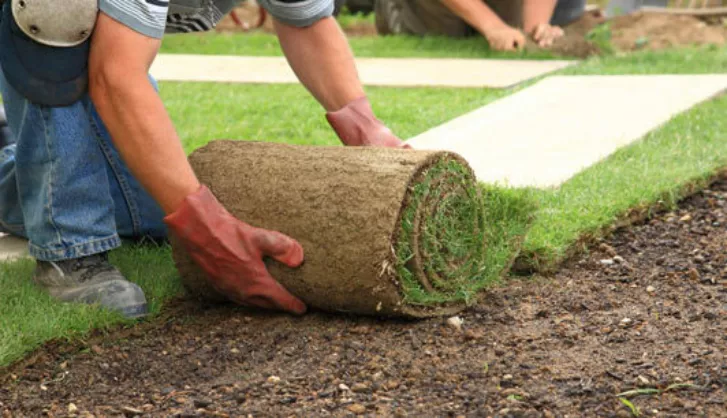 Laying Turf After Delivery