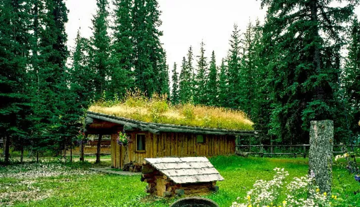 Living roof thumb