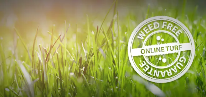 Weed Free Turf Guarantee