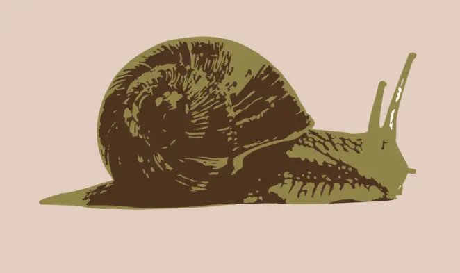 Custom snail
