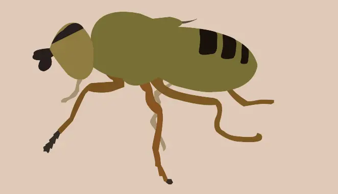 Frit Flies in Turf