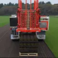 Rye gold turf 7