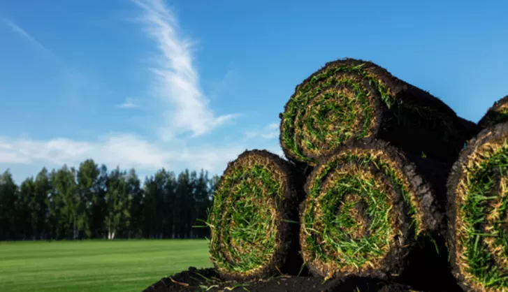 Turf Rolls On a Pallet